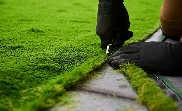 Full-Service Landscaping Company in Scottsdale, AZ
