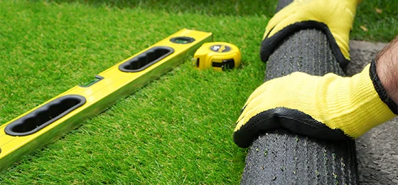 Best Turf for Backyard in Scottsdale
