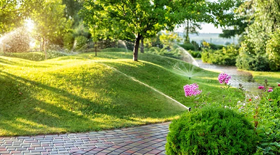 Artificial Grass Installation Services in Peoria