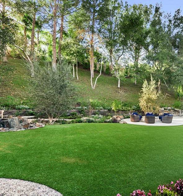 Commercial Landscaping Services in Scottsdale, AZ