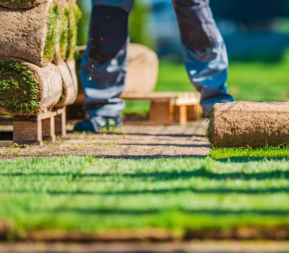 Professional Lawn Installation Services in Surprise, AZ