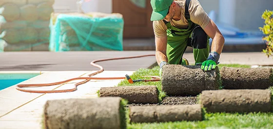 Sod Installation and Removal Services in Goodyear, AZ